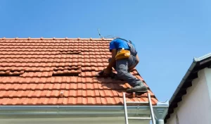 professional roofing services in Hernando MS